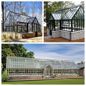 Why Glass Greenhouses Are A Gardener’s Best Friend